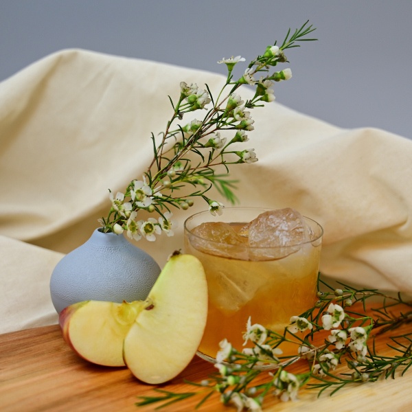 Karton Bio Apfelsaftkonzentrat grüner Apfel